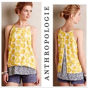 Anthropologie Porridge Fruit Slice Layered Top